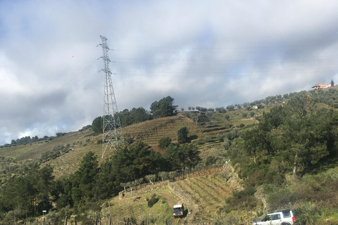 Porto to Douro Valley Private tour in a 4x4 like a native Privat tour Offroad Douro Valley