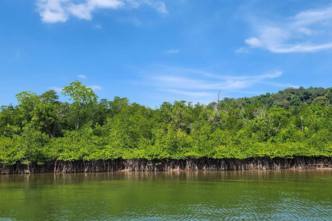 Visita a Khaolak y snorkel en grupo reducido