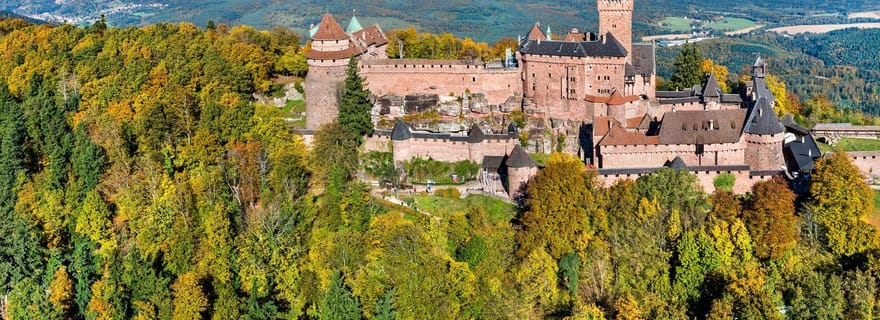 Au départ de Colmar : visite d'une jounée de la route des vins d'Alsace