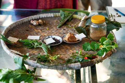 From Kathmandu: Patlekhet Permaculture Organic Farm Tour