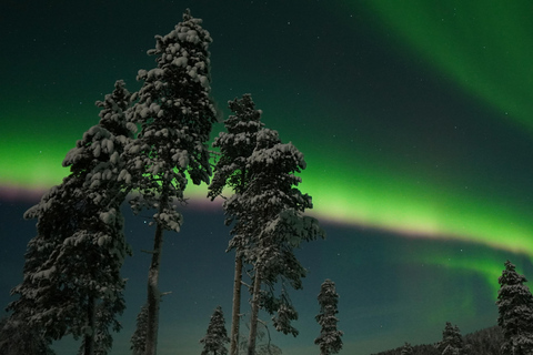 Saariselkä: Auroras Northern Lights Viewing & Photographing