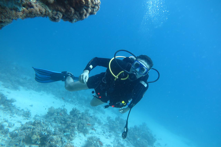 Hurghada: Dive Experience for Beginners or Certified Divers Full-Day Scuba Diving for Certified Divers