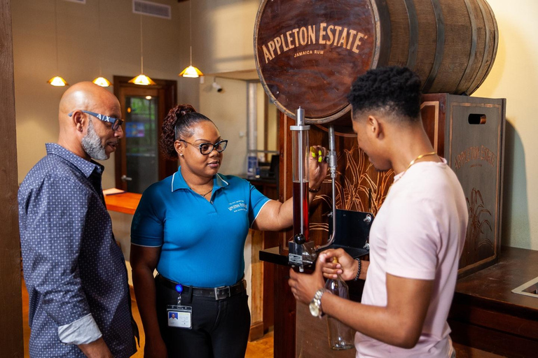 Montego Bay/Negril: Appleton Rum Experience & YS Falls Climb