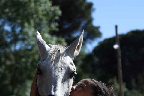 Horse Sanctuary in Rome Elevating the Ride: Summer in the Simbruini Mountains