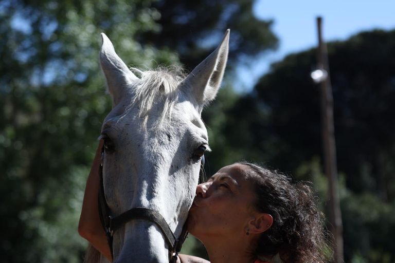 Horse Sanctuary in Rome Elevating the Ride: Summer in the Simbruini Mountains
