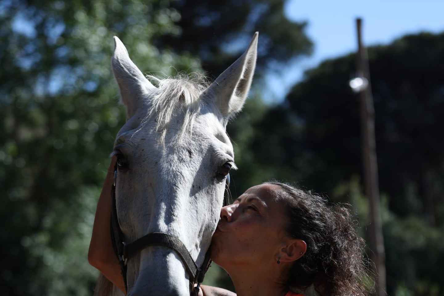 Horse Sanctuary in Rome