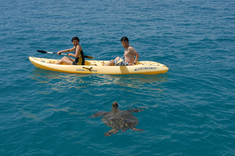 Oahu: Swim with Dolphins, Turtle Snorkel Tour and Waterslide