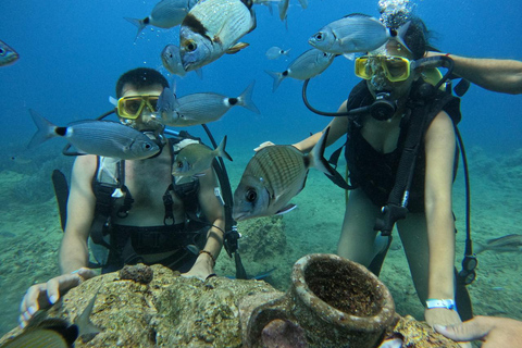 Côté : Plongée sous-marine et musée subaquatique avec transfert à l&#039;hôtel