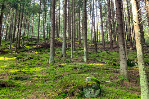 Erwecken der fünf Sinne in der finnischen Natur (+traditionelle Sauna)