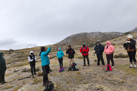From Cusco - Quelccaya Glacier Hike with Breakfast and Lunch