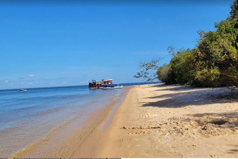 Jari Canal and Flavors of Vitória-Régia: Amazon River Experience