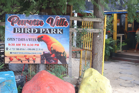 St. Maarten: Island Tour with Maho Beach and Marigot