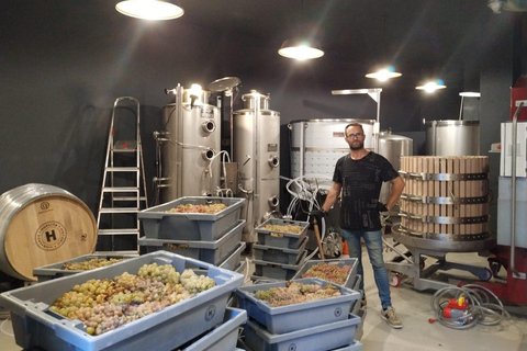 Tasting HOPLITA and FRIENDS