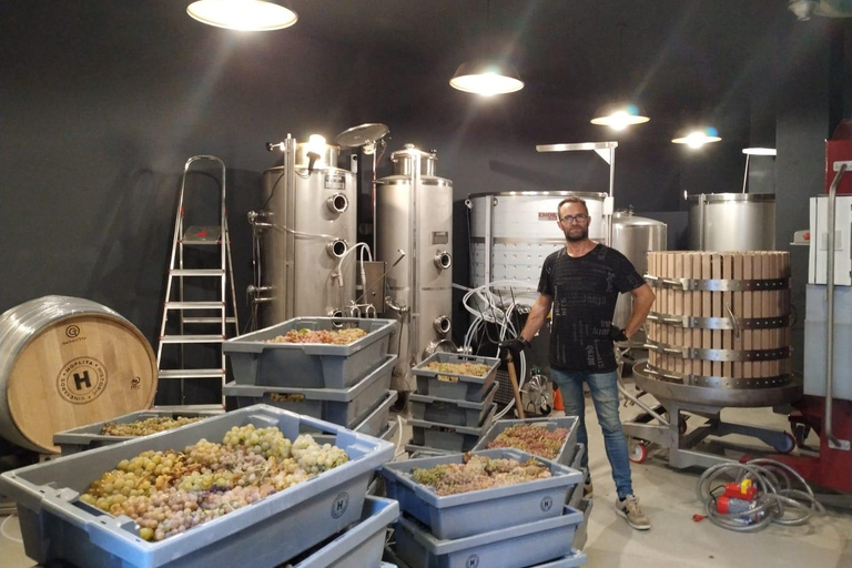 Tasting HOPLITA and FRIENDS