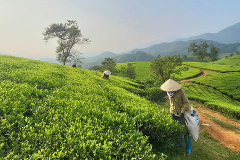 Nairobi: 5-Day Culinary Adventure with Foraging