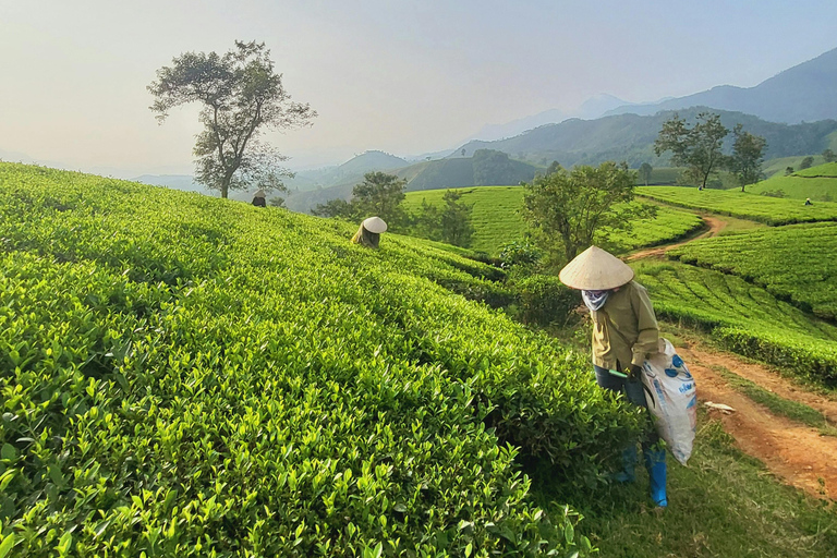 Nairobi: 5-Day Culinary Adventure with Foraging