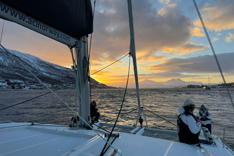 Tromsø: Authentic Fishing with Local Fisherman