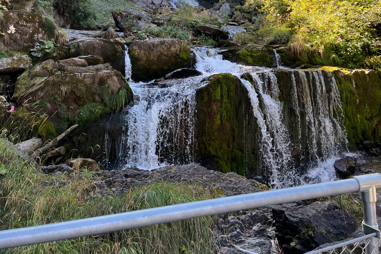 O melhor da Suíça Viagem de 1 dia a Bernese Oberland com teleférico