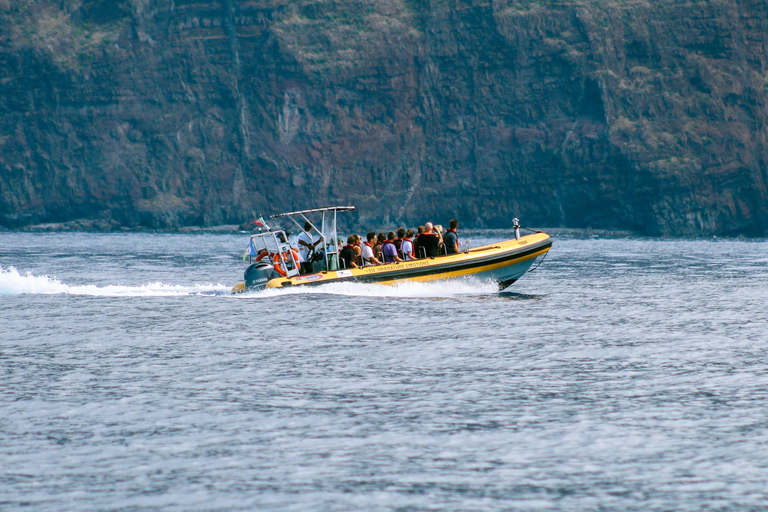 Funchal: Wal- & Delfinbeobachtungs-Tour per Schnellboot