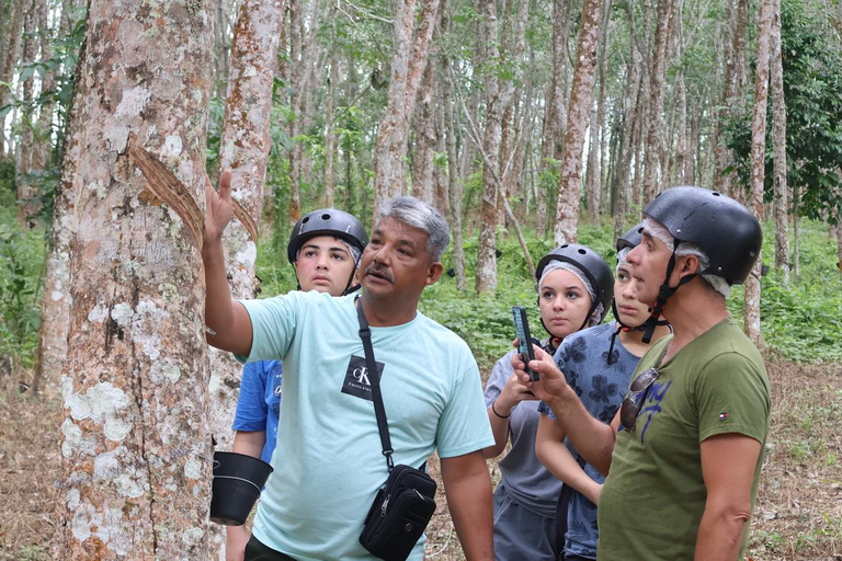 Aventura en la selva y cascadas de LangkawiAventura en la Selva y las Cascadas de Langkawi