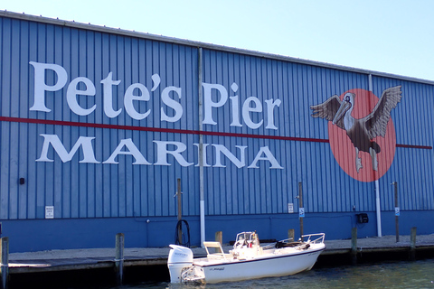 Crystal River: Manatee Viewing Cruise