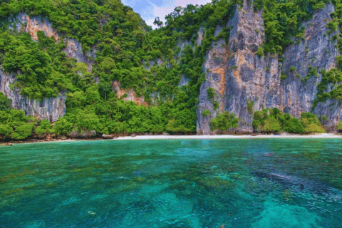 Ao Nang: Excursión de un día en lancha rápida a las islas Phi Phi con buffet