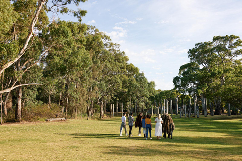 Adelaide: Guided Warriparinga Cultural and Historical Tour