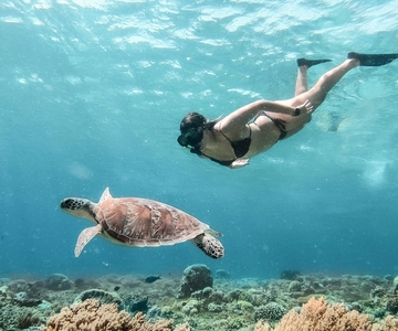 From Bali: Private Gili Islands Snorkeling All-Inclusive