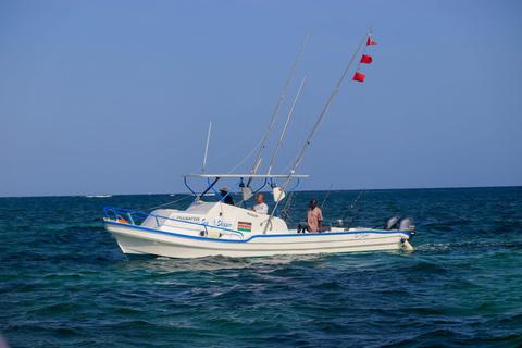 Diani, Mombasa, or Mtwapa: Private Deep Sea Fishing Trip