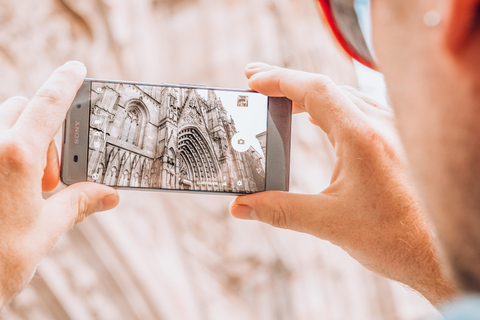 Barcelona: Introduction to the Gothic Quarter Walking Tour Private Tour (Max 20 Adults)