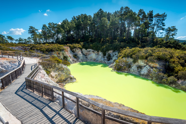 Auckland : Rotorua Māori Cultural &amp; Geothermal Tour &amp; Lunch