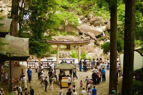 Guided Wakayama Heritage & Forest Trails with Hotel Pickup