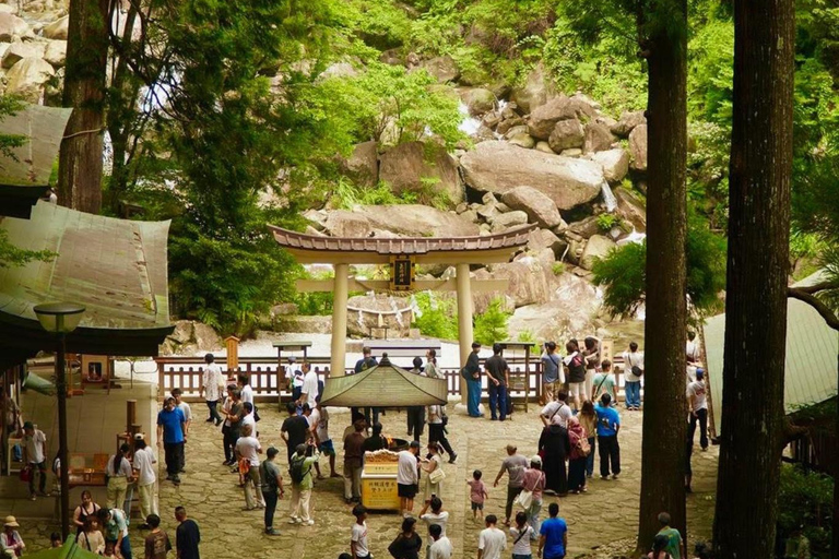 Guided Wakayama Heritage & Forest Trails with Hotel Pickup