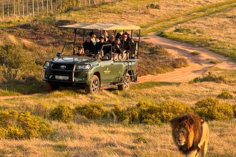 Private 2-Day Garden Route Safari - Penguins & Cape Agulhas