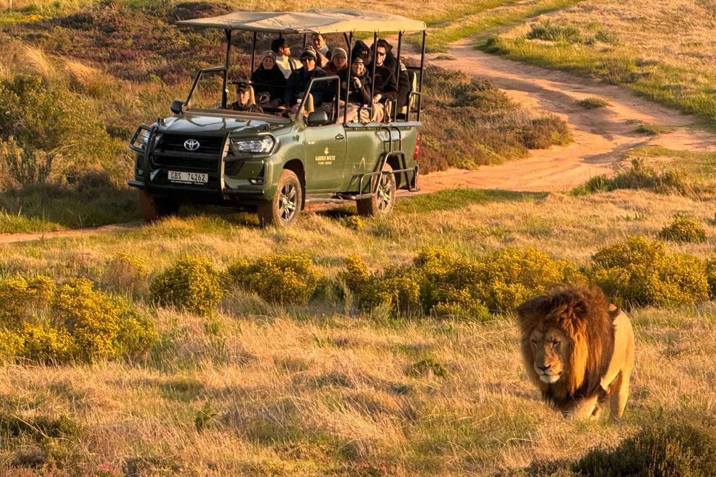 Private 2-Day Garden Route Safari - Penguins & Cape Agulhas - From Cape Town: 2-Day Garden Route Safari with Penguins