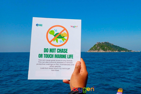 Koh Tao in a Day: Turtles, Hidden Reefs & Nangyuan Viewpoint