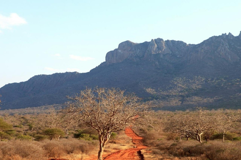 Mombasa: Tsavo West & Amboseli 3-Day Safari Tour