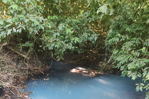 Manuel Antonio National Park: Wildlife-Watching Guided Hike