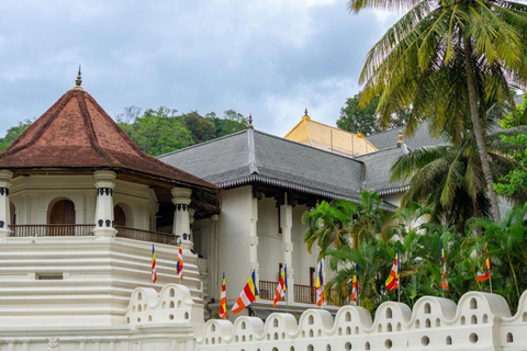 Sri Lanka: Guided Tour with Temple of the Rawan