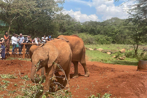 Från Nairobi: Elefantbarnhem, Giraffcenter och Bomas