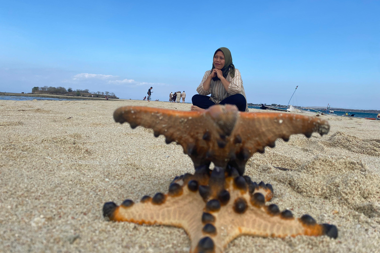 Lombok : Ilha de areia, gili petelu, gili gambir e praia rosa