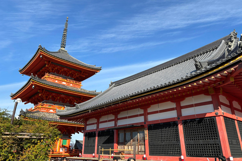 Kyoto: Higashiyama Premium E-Bike Tour with guide