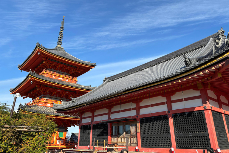 Kyoto: Higashiyama Premium E-Bike Tour with guide