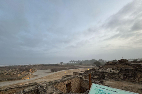 Salalah: Private City Tour — Half or Full Day Half day - Coach (21-45 guests)