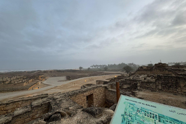 Salalah: Private City Tour — Half or Full Day Half day - Coach (21-45 guests)