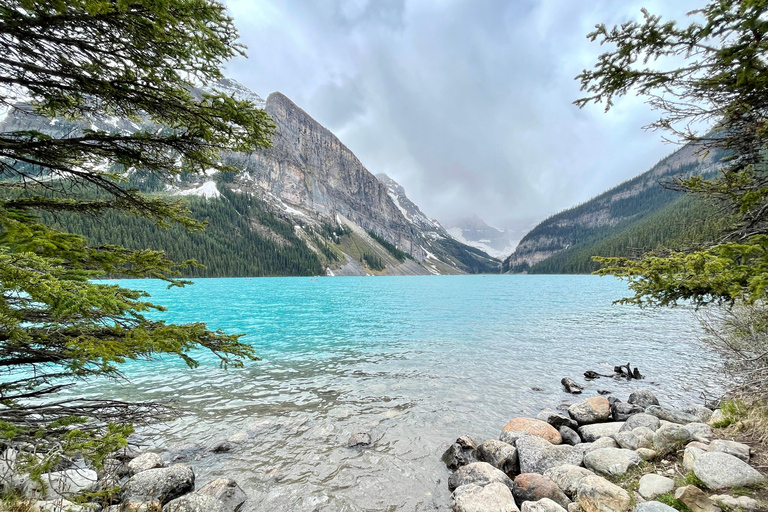 Desde Banff: Autobús lanzadera a Lake Louise y Moraine Lake.