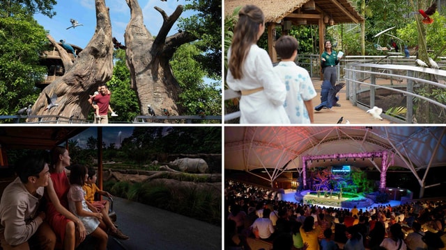 Bird Paradise (Free & Easy) with Night Safari Guided Tour
