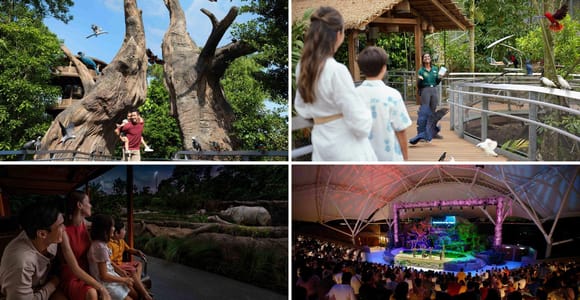 Bird Paradise (Free & Easy) with Night Safari Guided Tour