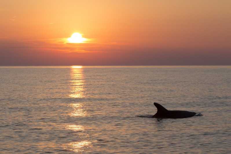 Medulin: Arquipélago do Pôr do Sol e Cruzeiro com Golfinhos com Jantar