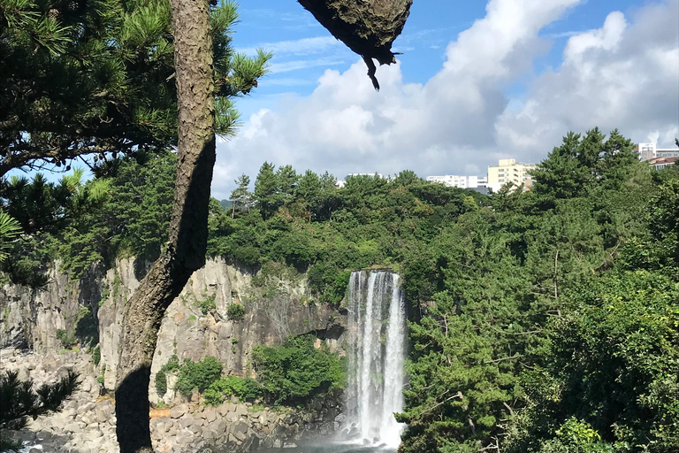 Desde Jeju: excursión a sitios de la UNESCO